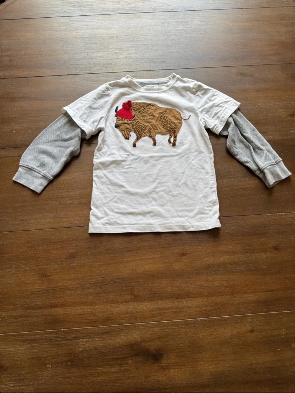 Four Gymboree cotton long sleeves tees S (5) Buffalo Bear Cat Basketball